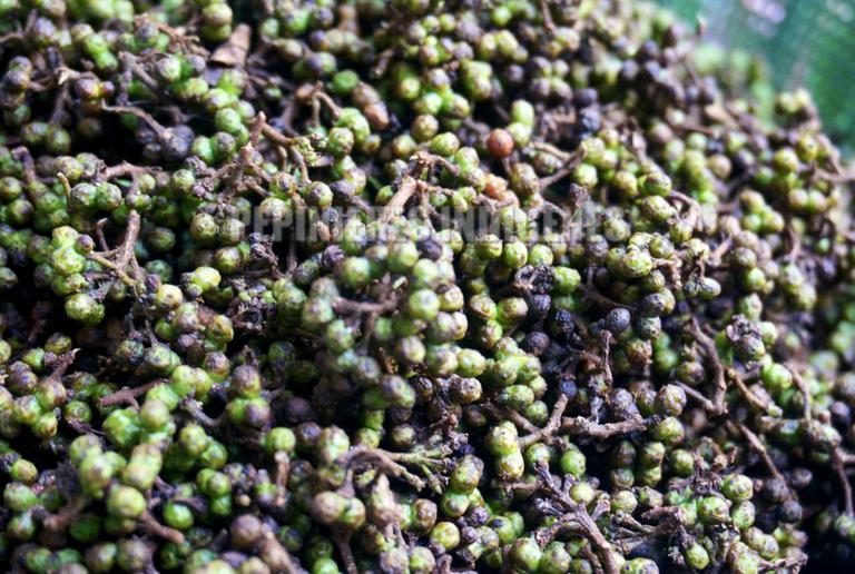 baies  poivre sichuan shansho 