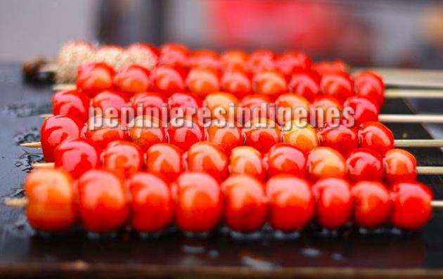 fruits-aubepine-friandise-chine