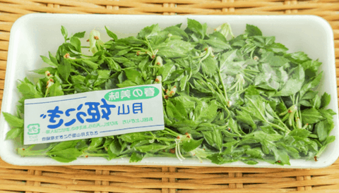 legumes feuilles japon